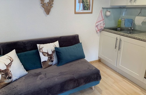 Grindelwald Ski Chalet | Cozy beautiful 1 room apartment top location