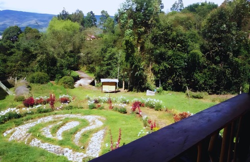 San Francisco Cabin | Cozy Cabin Casa Enya