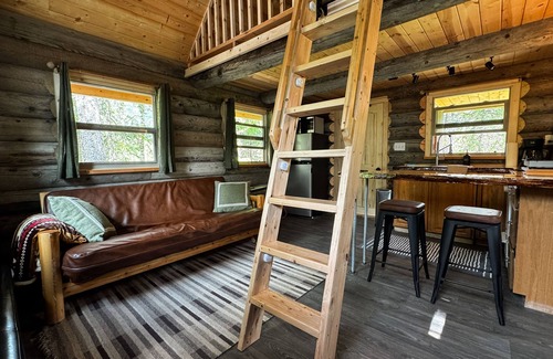 Moose Pass Cabin | Cozy cabin centrally located in Moose Pass with WiFi