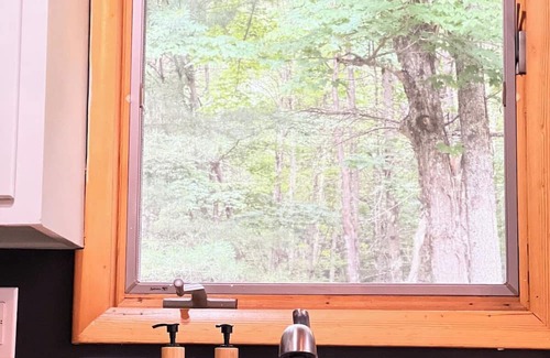 Prattsville Cabin | Cozy Cabin Escape | Firewood Hot Tub & Stargazing