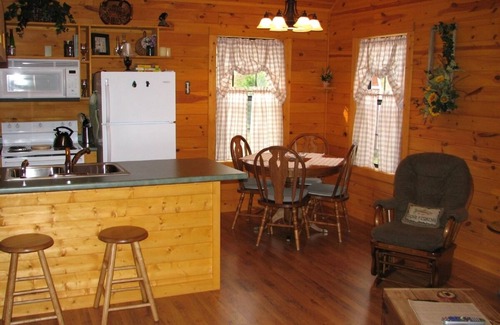 Young Harris Cabin | Cozy Cabin in the North Georgia Mountains - We are open and it's beautiful here!
