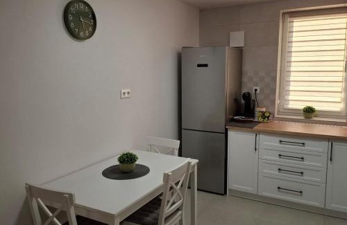Sfantu Gheorghe Apartment | Cozy Central Apartment