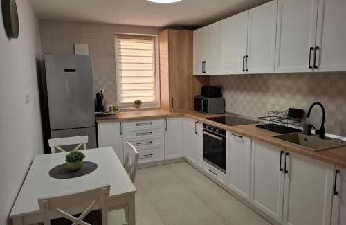 Sfantu Gheorghe Apartment | Cozy Central Apartment