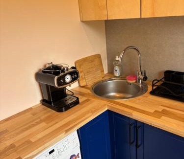 Roja Apartment | Cozy city apartments in Roja with free parking
