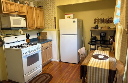 Nederland Cabin | Cozy & Comfortable 1BD Cabin In Nederland ~ Walk to Downtown, Trails & RTD Bus