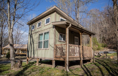 Saluda Cottage | Cozy Cottage in the heart of the Green River Gamelands! Private outdoor firepit!