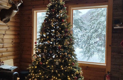 Richfield Springs Cabin | Cozy, country cabin near Cooperstown
