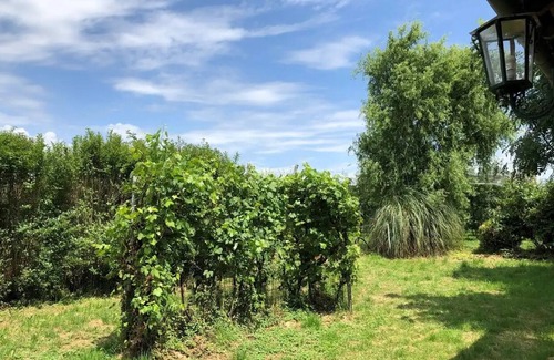Saint-Cyr-les-Champagnes Cottage | Cozy stay among apple orchards with hot tub