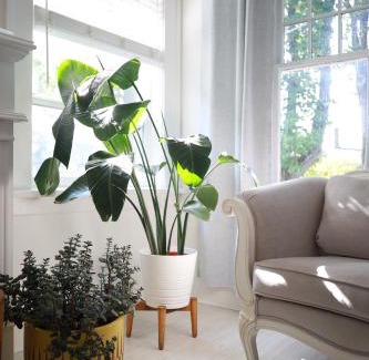 Kitsilano House | Cozy Home in Kitslano, Vancouver. Free Parking.