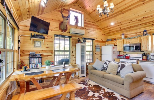 Clayton Cabin | Cozy Lake Sardis Cabin w/Stunning View!