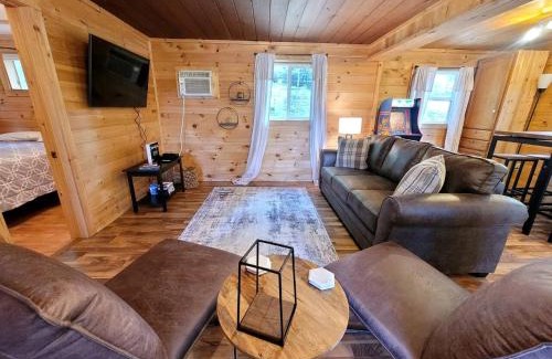 Bitely House | Cozy Lakeside Log Cabin with Kayaks & Arcade Access near Trails in Bitely, Michigan
