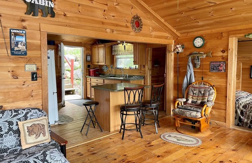 Oakland Cabin | Cozy Maine Lakefront Cabin near Colby College