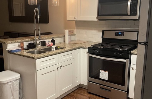 Heart of Chicago Apartment | Cozy Pilsen Apartment