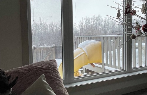 Sylvan Lake House | Cozy quiet home located in a lake town