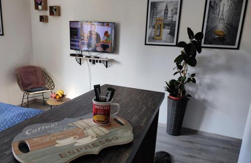 Doboj Apartment | Cozy studio Cik-Cak