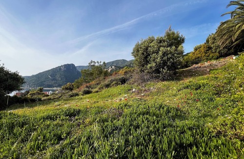 Avlakia Apartment | Cozy studio near the beach