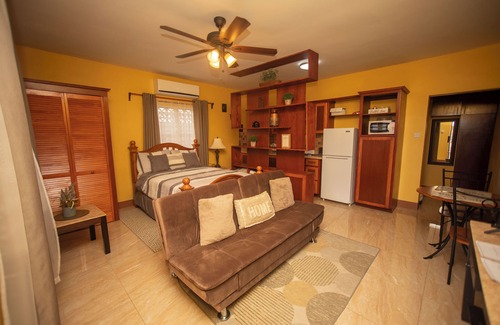 Basseterre Apartment | Cozy Studio Room with Private Entrance Buckley'snn