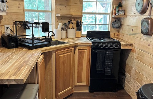Walker Cabin | Cozy Tiny Cabin Near Leech Lake complete with Firepit + Trails