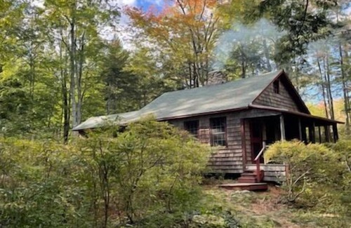 Nelson Cabin | Cozy, Wooded, Waterfront, Mountain View Cabin on Silver Lake