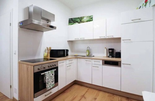 Rudolfsheim-Funfhaus Apartment | CozyNite Premium Apartment Schönbrunn 1