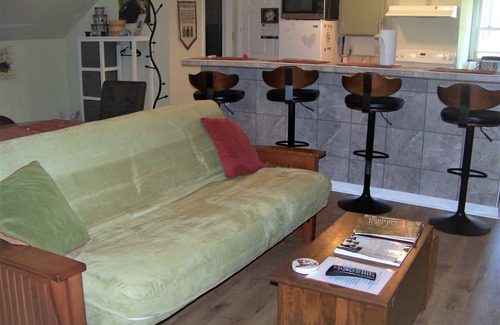 Leicester Apartment | Critter Hill Studio Apt. close to downtown Asheville and the Blue Ridge Parkway