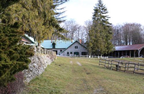 Northern Hungary House | Csipkéskúti Lovas Vendégház