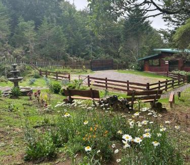 Canton Dota Cabin | Curuba Lodge