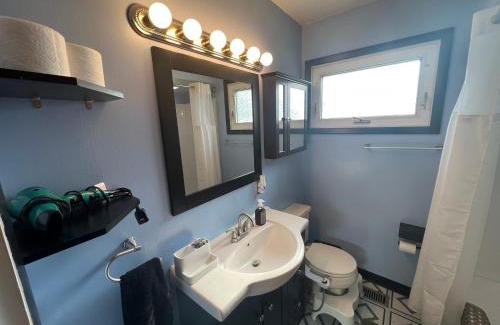 Ypsilanti House | Cute home near EMU and U of M