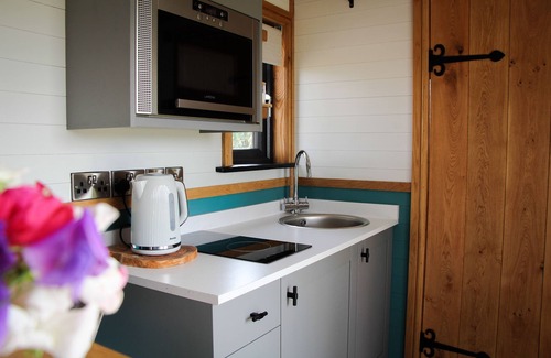 Newcastle-on-Clun Cabin | Cwm Cariad - Shepherds Hut with Hot Tub Sleeping 2 guests, Pet Friendly