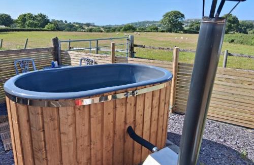 Rhyd-y-foel House | Cwtch Winnie Shepherds Hut
