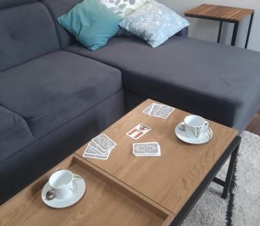 Albrechtice v Jizerskych horach Apartment | Apartmán Amálie