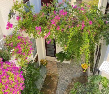 Tay Ninh Apartment | DƯỚI TÁN CÂY homestay