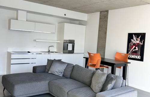 International District Apartment | D-06 COZY & INDUSTRIAL APARTMENT IN DOWNTOWN MONTREAL GREAT VIEW