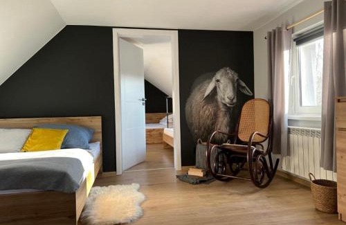 Jelesnia House | Dablin 9