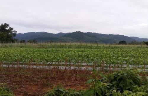 Khuekkhak Resort | Dachatorn Village