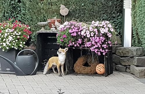 Annen Apartment | Dachgeschoss35