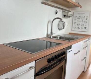 Weiherhammer Apartment | Dachgeschosswohnung in Weiherhammer