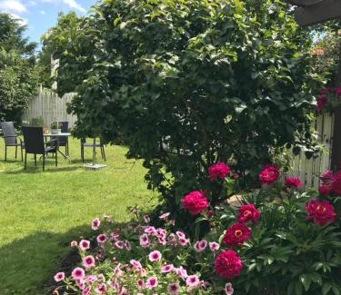 Store Heddinge Bed & Breakfast | Dadas Bed & Breakfast