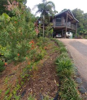 Cow Bay House | Daintree Holiday Homes - Yurara