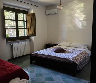Arborea Bed & Breakfast | Dal tramonto all' alba