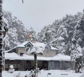 Nainital Apartment | Dalhousie Heritage Cottage