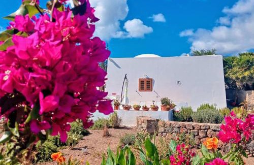 Tracino Apartment | Dammuso Pantelleria - Fiori D'Ossidiana