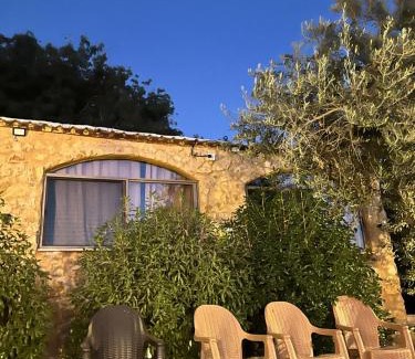 Dana Hotel | Dana horizon hotel