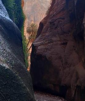 Dana Other | Dana's scenic trails