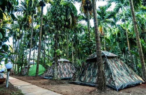 Supa Hotel | Dandeli Goldfinch Resort