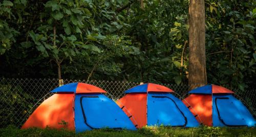 Dandeli House | Dandeli Tiger Cottages