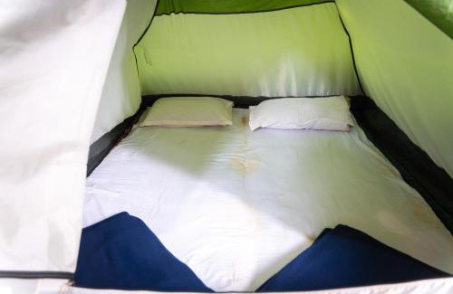 Dandeli House | Dandeli Tiger Cottages