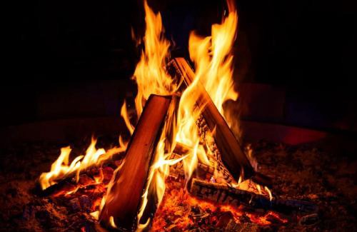 Dandeli Other | Dandeli Wild Inn