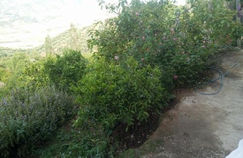 Ourtzagh House | Dar Lala Zhour