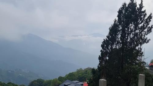 North Point House | Darjeeling Dreams Homestay